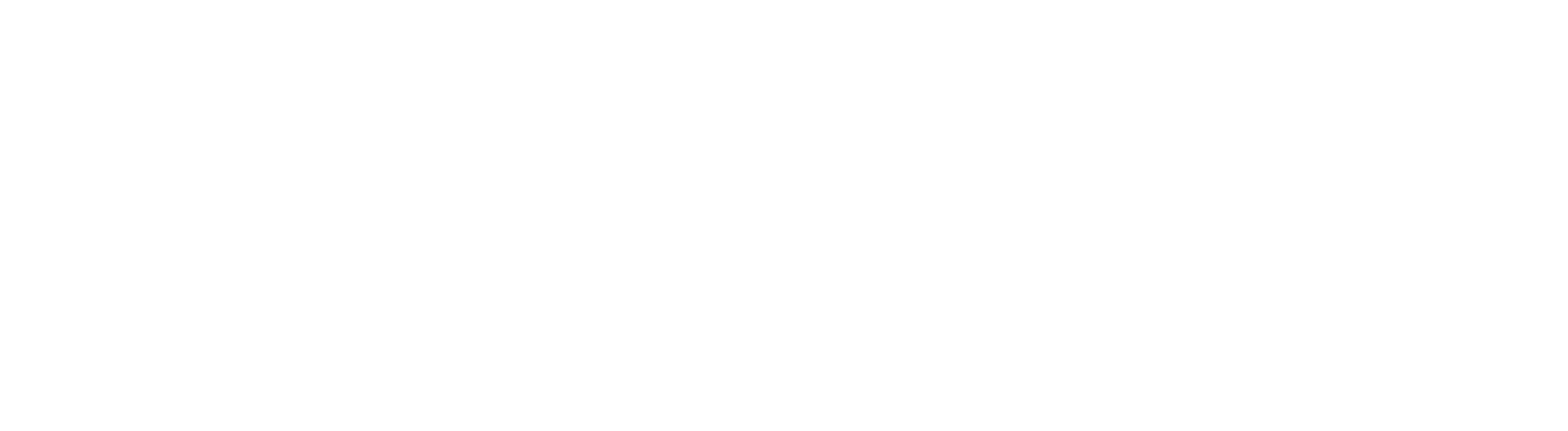 Commodore Plus4 logo