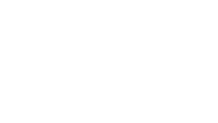Fallout Community Edition logo