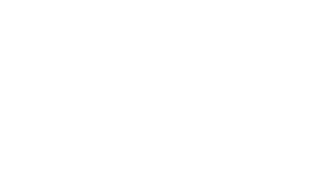 Flash Player logo