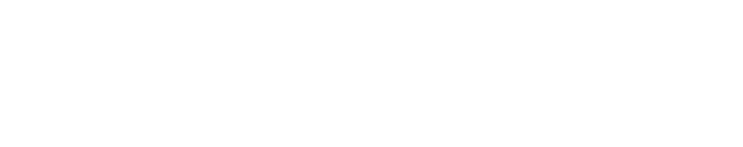 Namco System 246/256 logo
