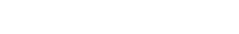 Nintendo DS logo