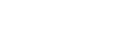 Nintendo Entertainment System logo