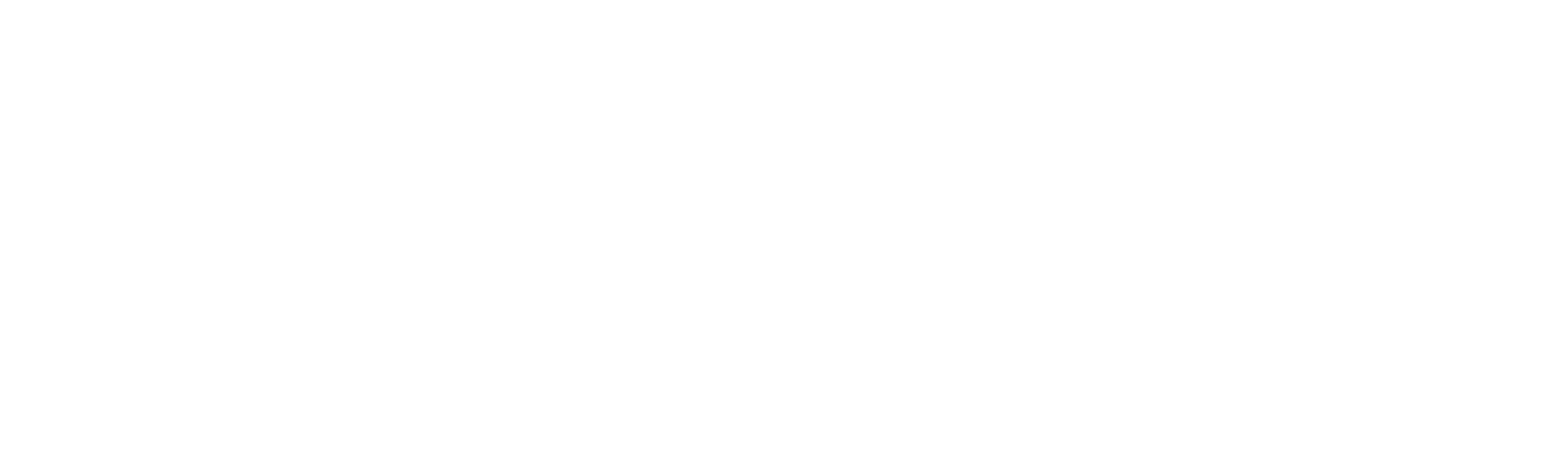 Wii logo